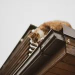 Keep the Rain Dancing Off Your Roof: Gutter Cleaning in Tewkesbury